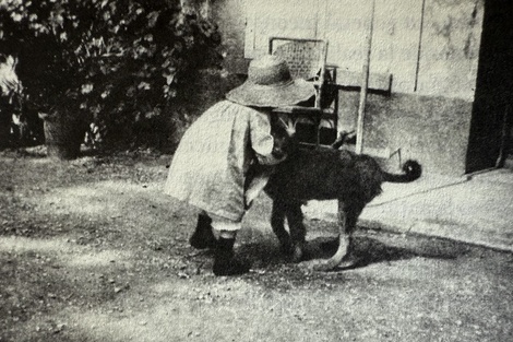 Acerca de las fotos del pintor Pierre Bonnard