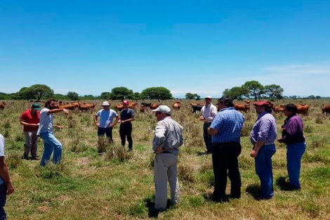 Un decreto podría borrar al INTA del mapa productivo del norte argentino